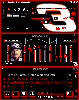 Dale Earnhardt 3