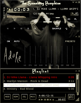 Winamp 2.x skin