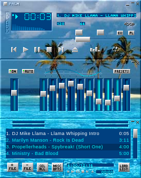 Palm