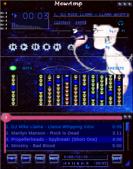 Skin11