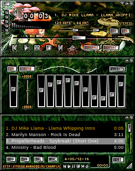 Mushroom Samba 2005