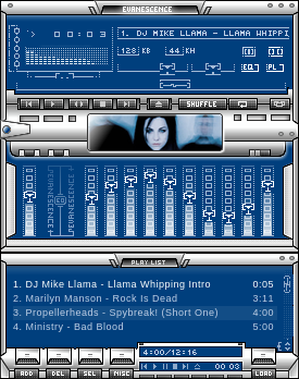 Official winamp skin