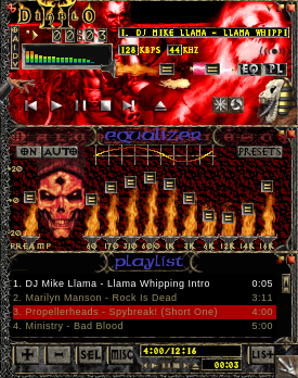 Skin name: Diablo II