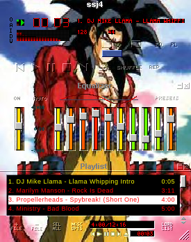 Goku 2004