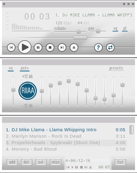 Riiaa Skin