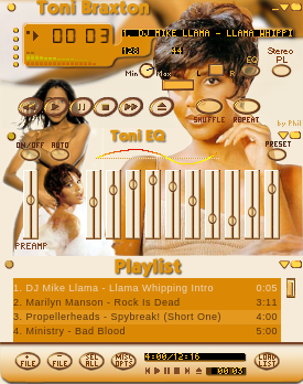 Toni Braxton Skin 1.0