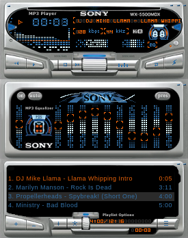 Sony wx-5500mdx