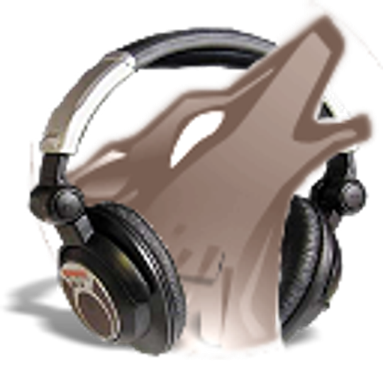 Amarok Icon