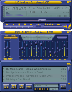 Uci Anteaters Lcd