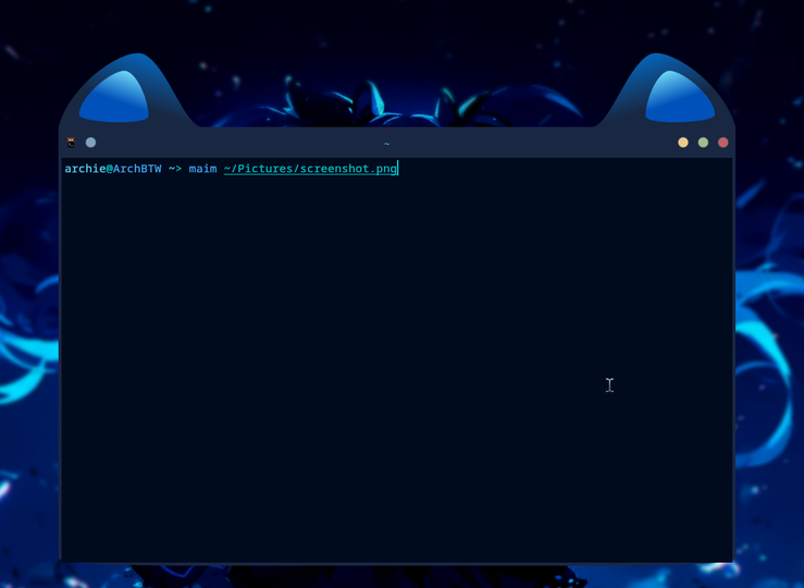 Cat window decoration