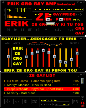 Erik Gro Gay