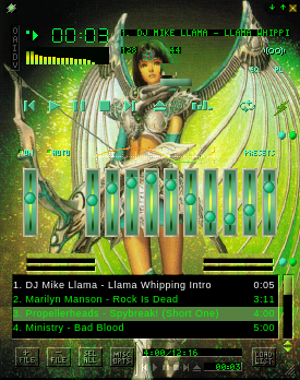 Shana from the video game