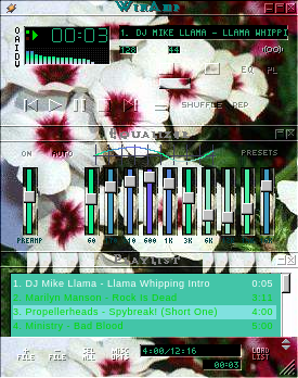 Flowers 16