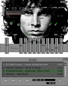 The Doors