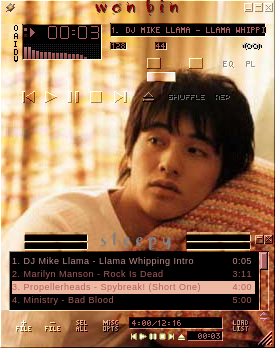 Won Bin skin No.2