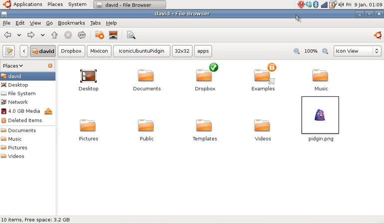 Iconic Ubuntu Pidgin