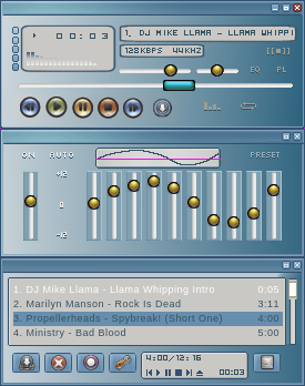 OceanGANT winamp skin