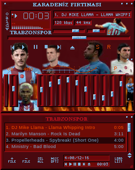 TS 2004-2005 V2.1