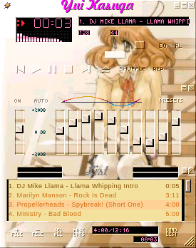 Corrector Yui Amp